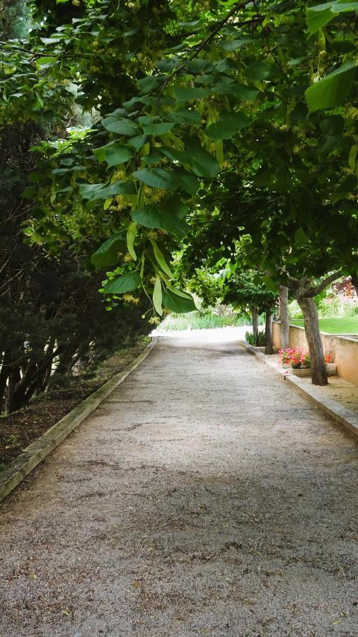Bed and Breakfast La Bastide Des Roses Saint-Julien-d'Asse Exterior foto