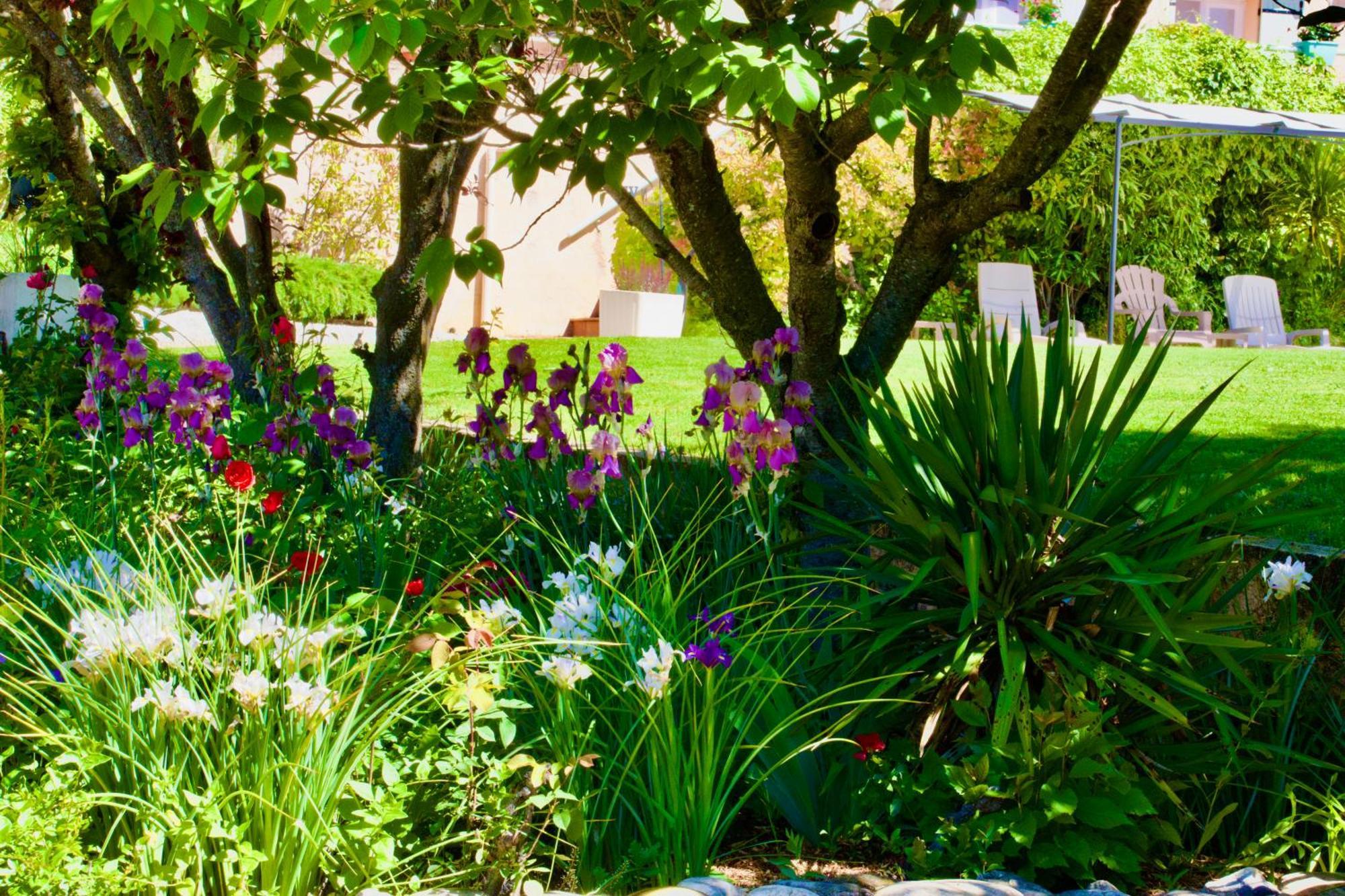 Bed and Breakfast La Bastide Des Roses Saint-Julien-d'Asse Exterior foto
