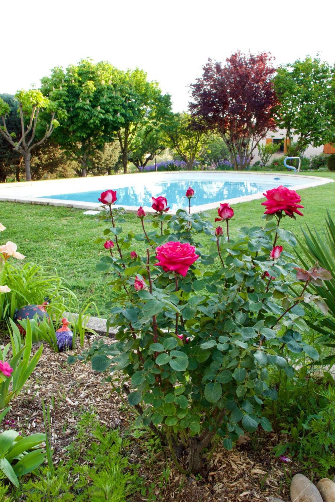 Bed and Breakfast La Bastide Des Roses Saint-Julien-d'Asse Exterior foto