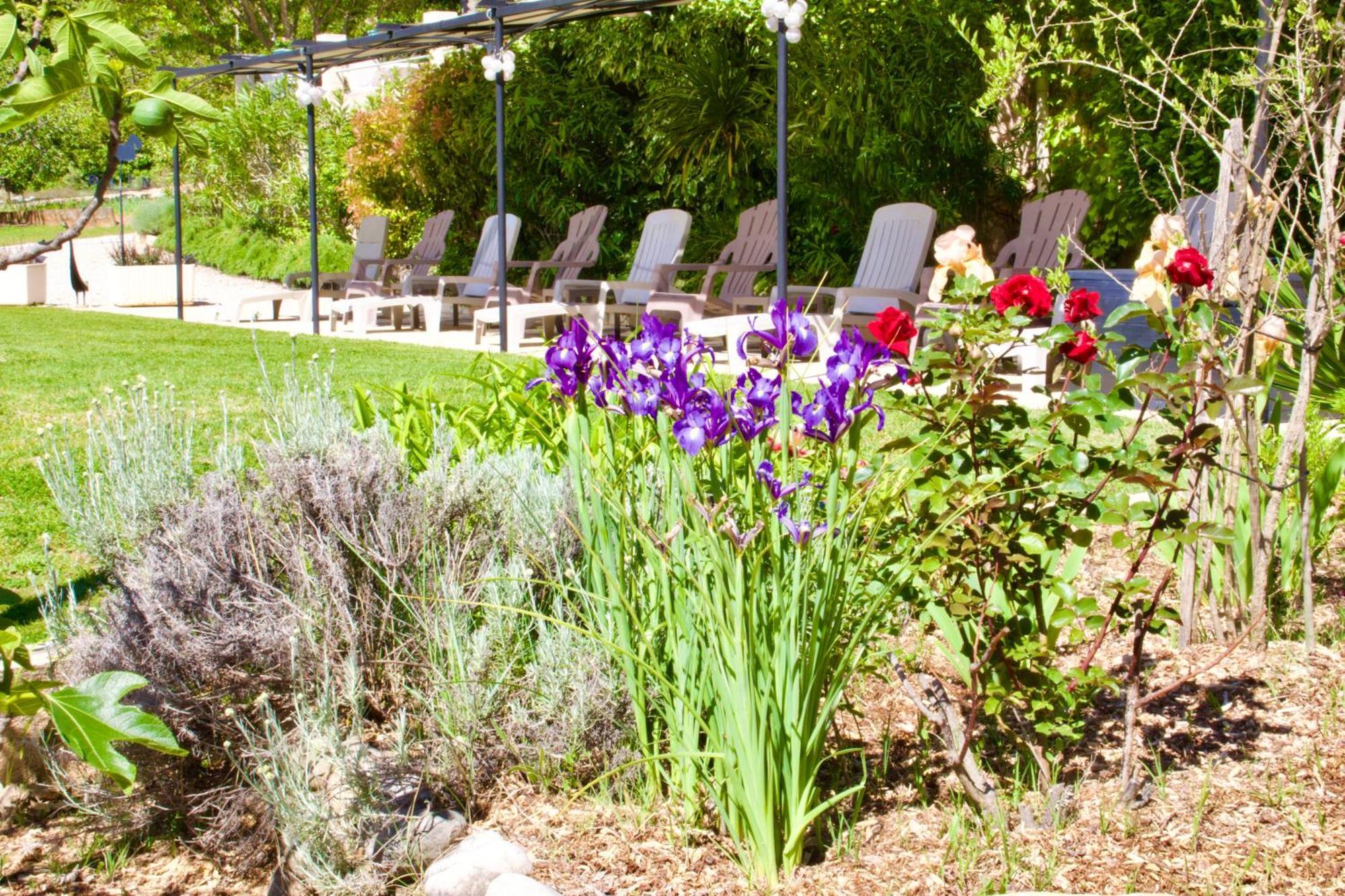 Bed and Breakfast La Bastide Des Roses Saint-Julien-d'Asse Exterior foto