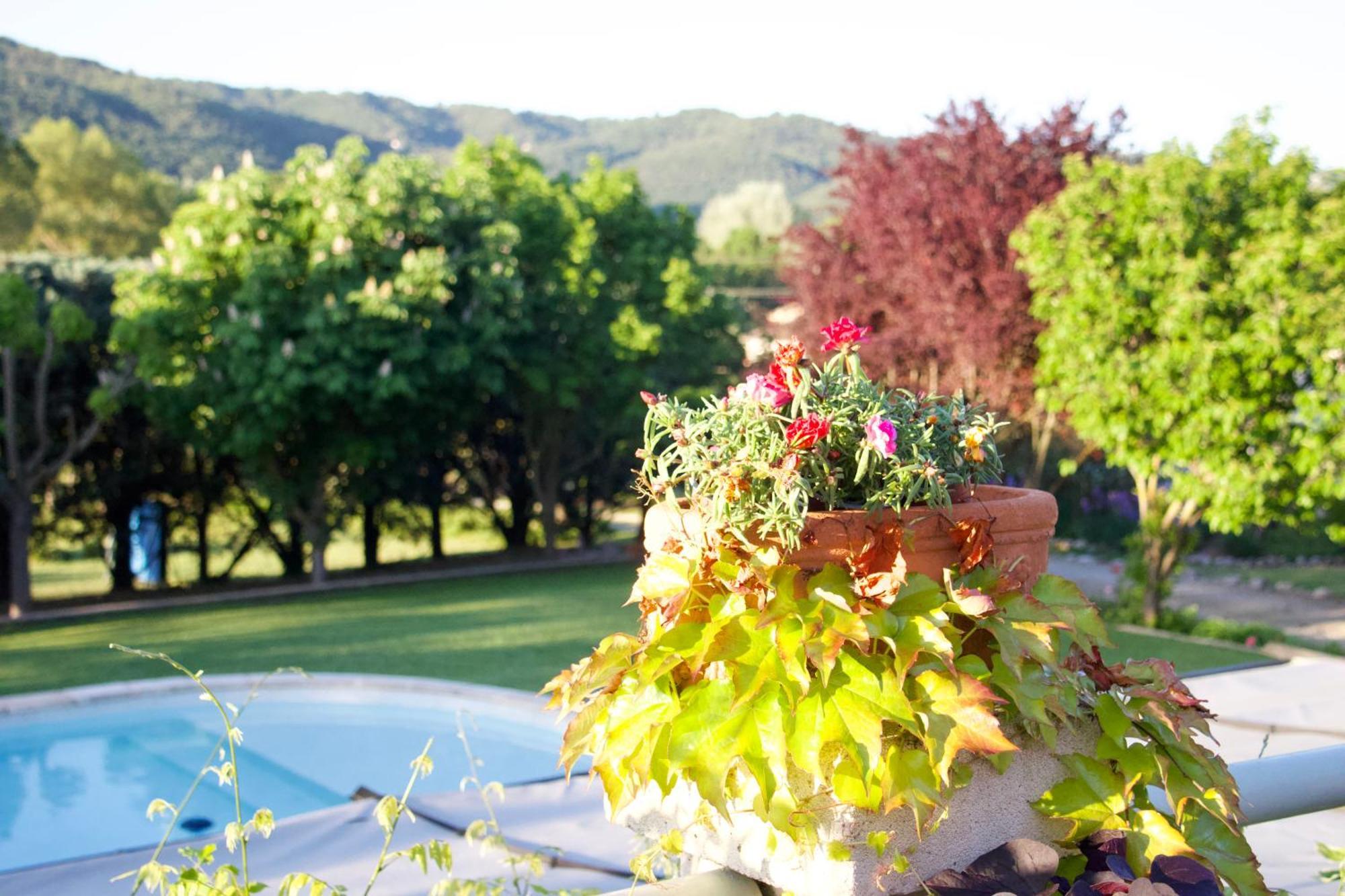 Bed and Breakfast La Bastide Des Roses Saint-Julien-d'Asse Exterior foto
